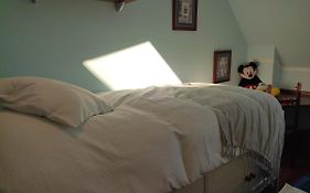 Duplex Bonar